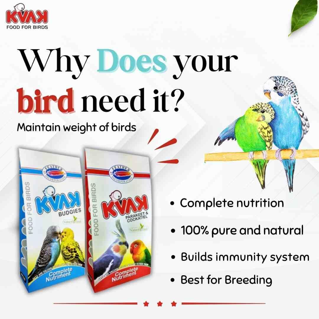 KVAK Bird Food Combo Pack for Budgies & Parakeets - Image 2