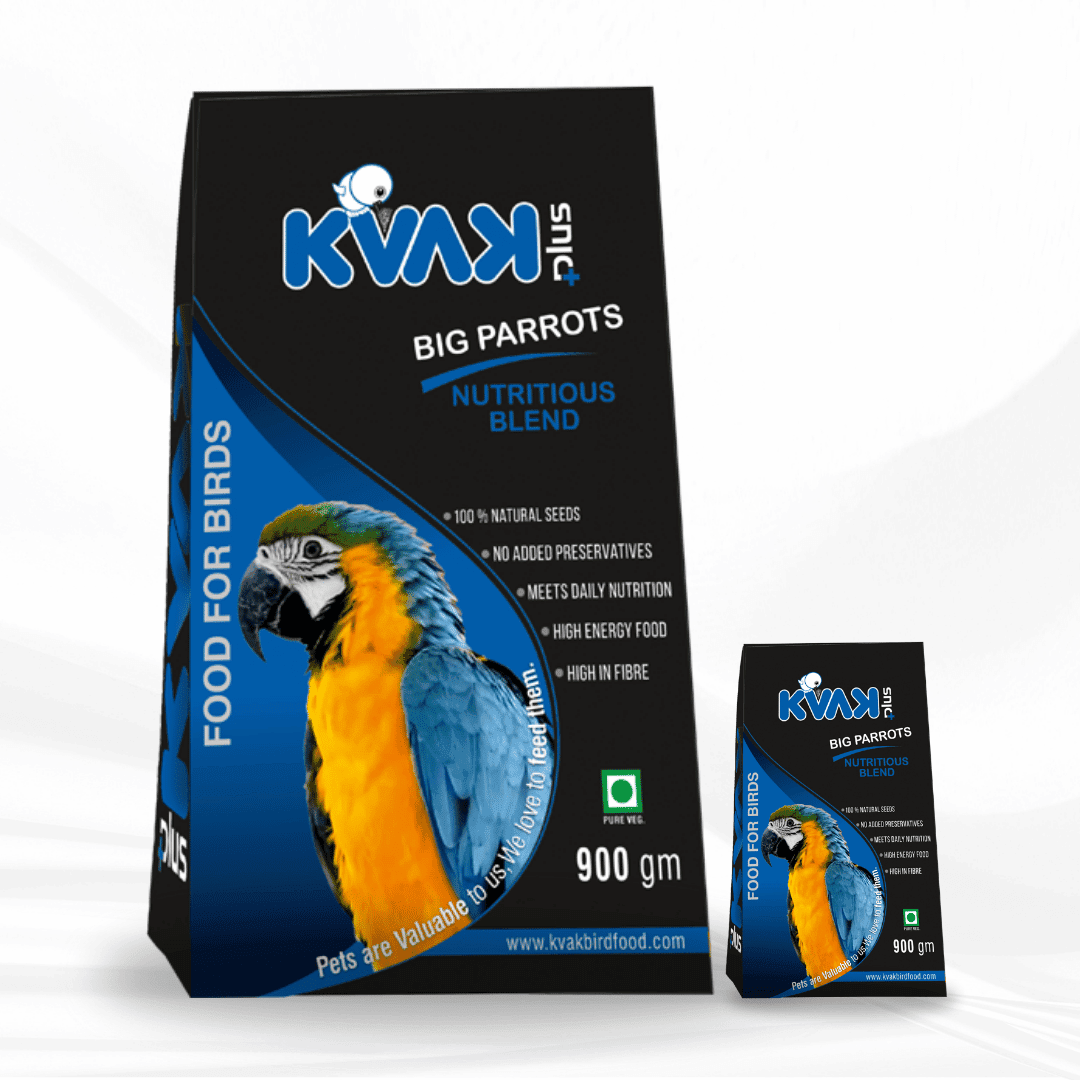 KVAK Premium Bird Feed 1kg pack with parrot image – nutritious seed mix for parrots and pet birds