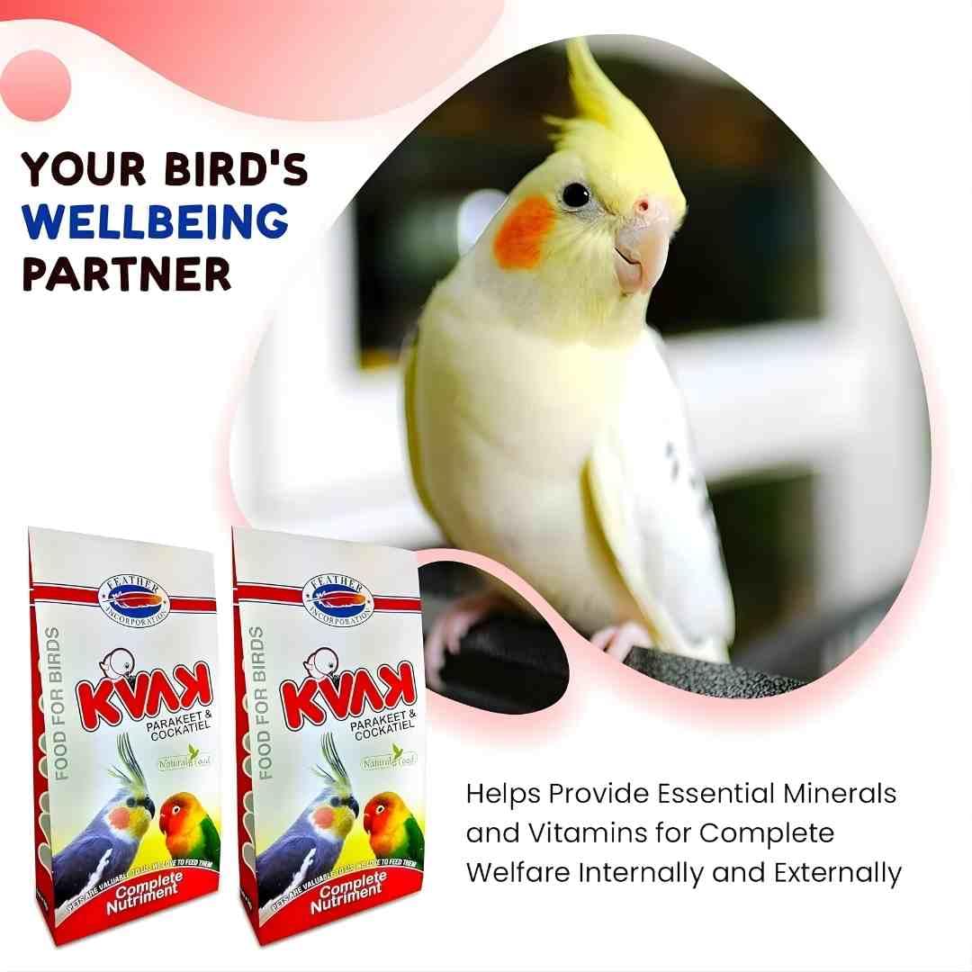 KVAK Parakeet & Cockatiel Bird Food – Complete Nutrimen - Image 5