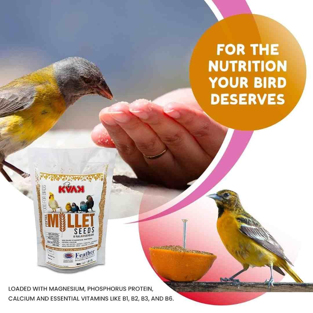 Kangni Rala for Birds - Budgies, Lovebirds, Canaries, Finches, Parrots